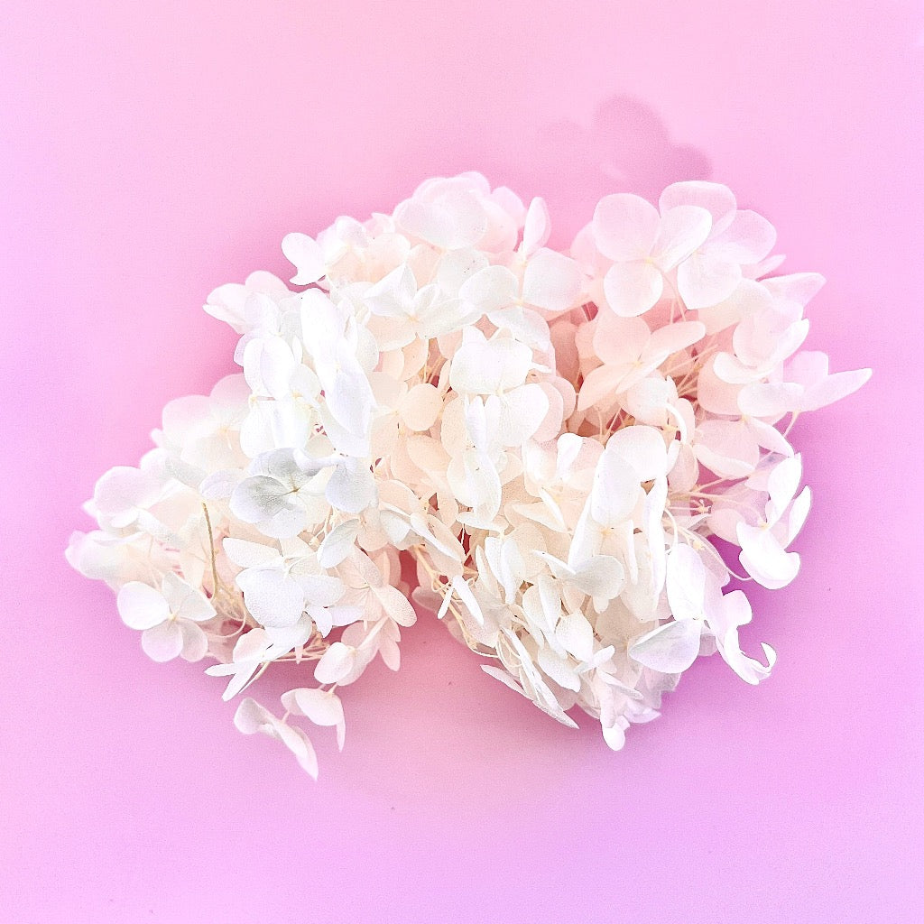 Dried Flowers for Cake Toppers - Hydrangeas White