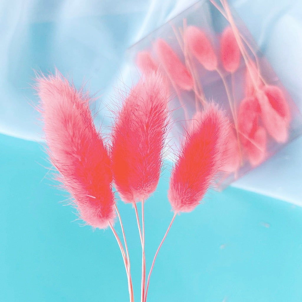 Dried Natural Bunny Tails Cupcake Toppers - Hot Pink