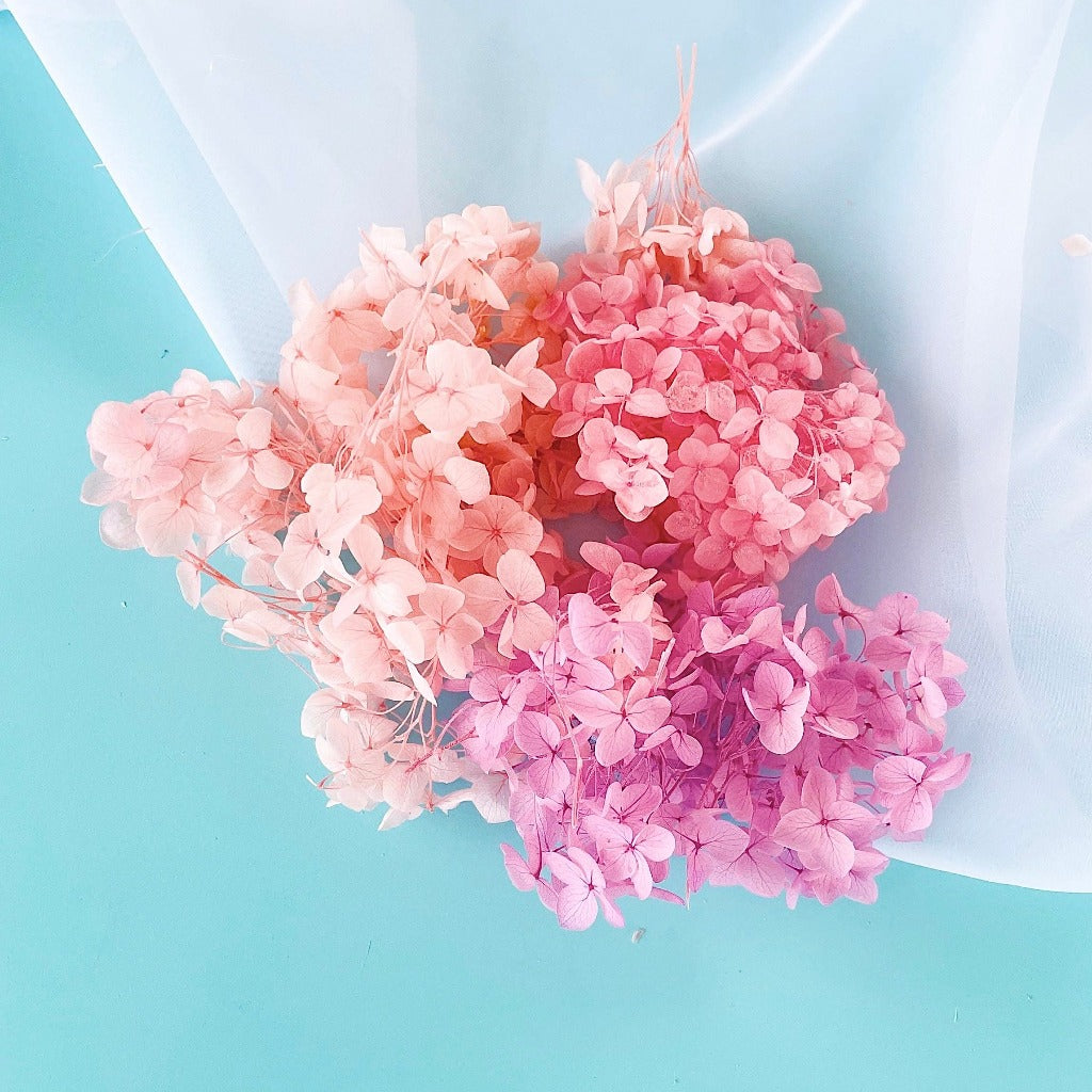 Dried Natural Hydrangeas for Cupcake Toppers - Afterglow