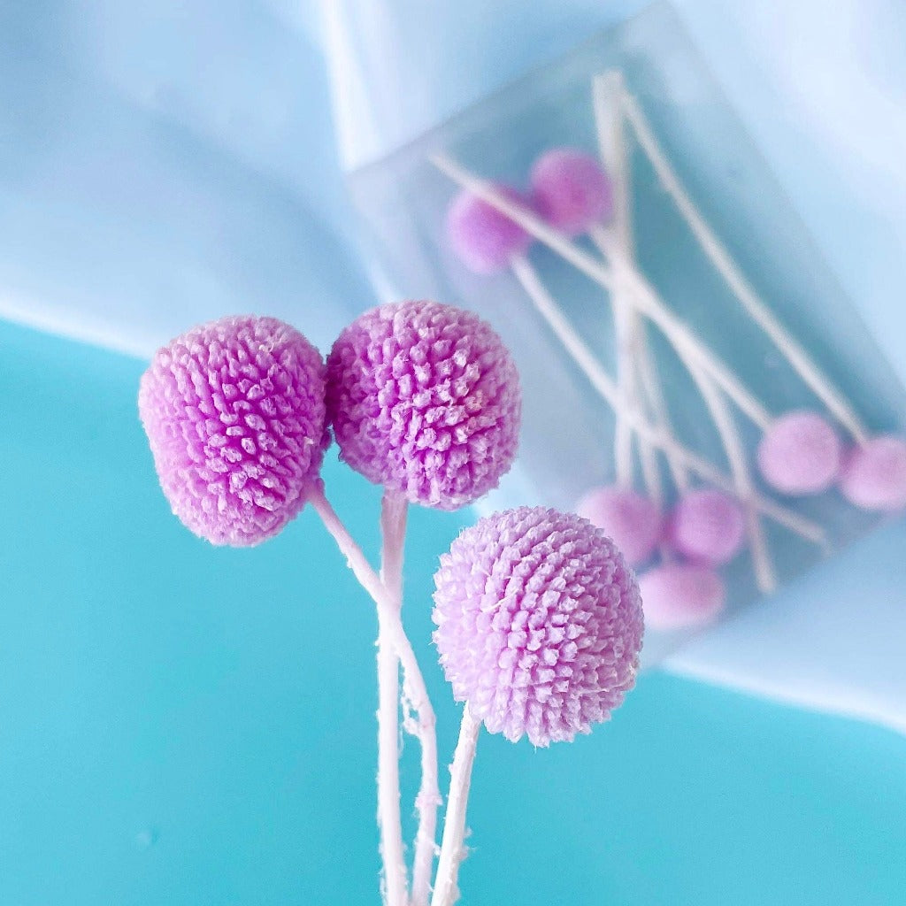 Dried Natural Billy Buttons Cupcake Toppers - Lilac