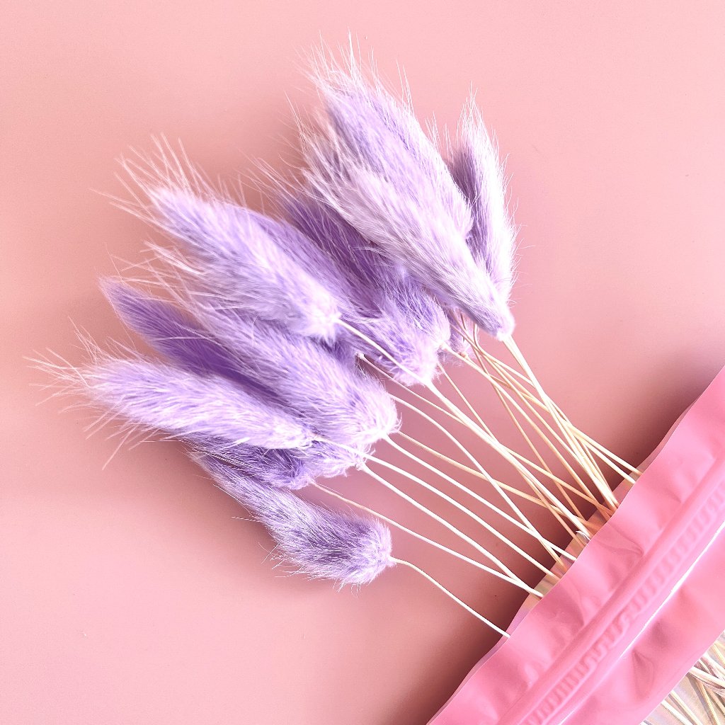Dried Flowers for Cake Toppers - Bunny Tails Lilac 20pc