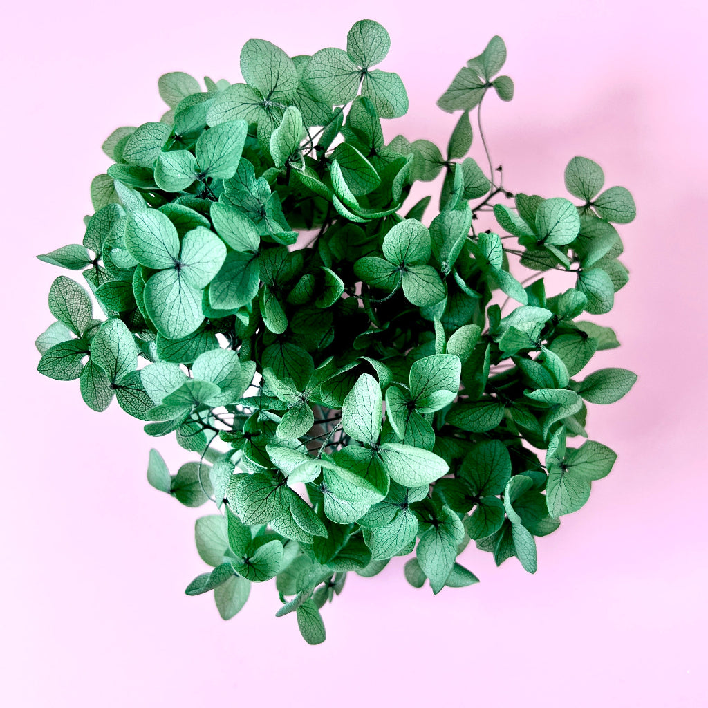Dried Flowers for Cake Toppers - Hydrangeas Emerald Green