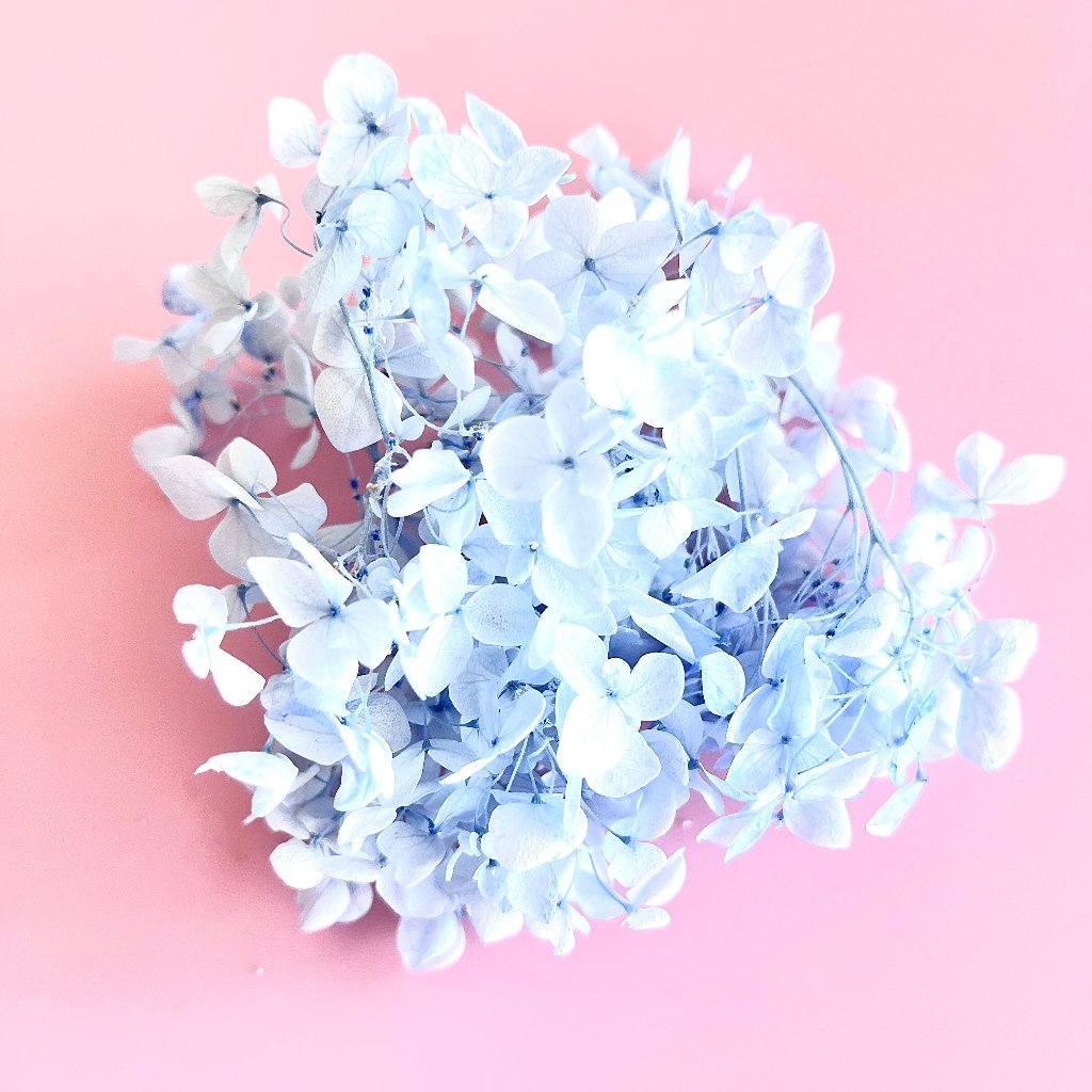 Dried Flowers for Cake Toppers - Hydrangeas Light Blue