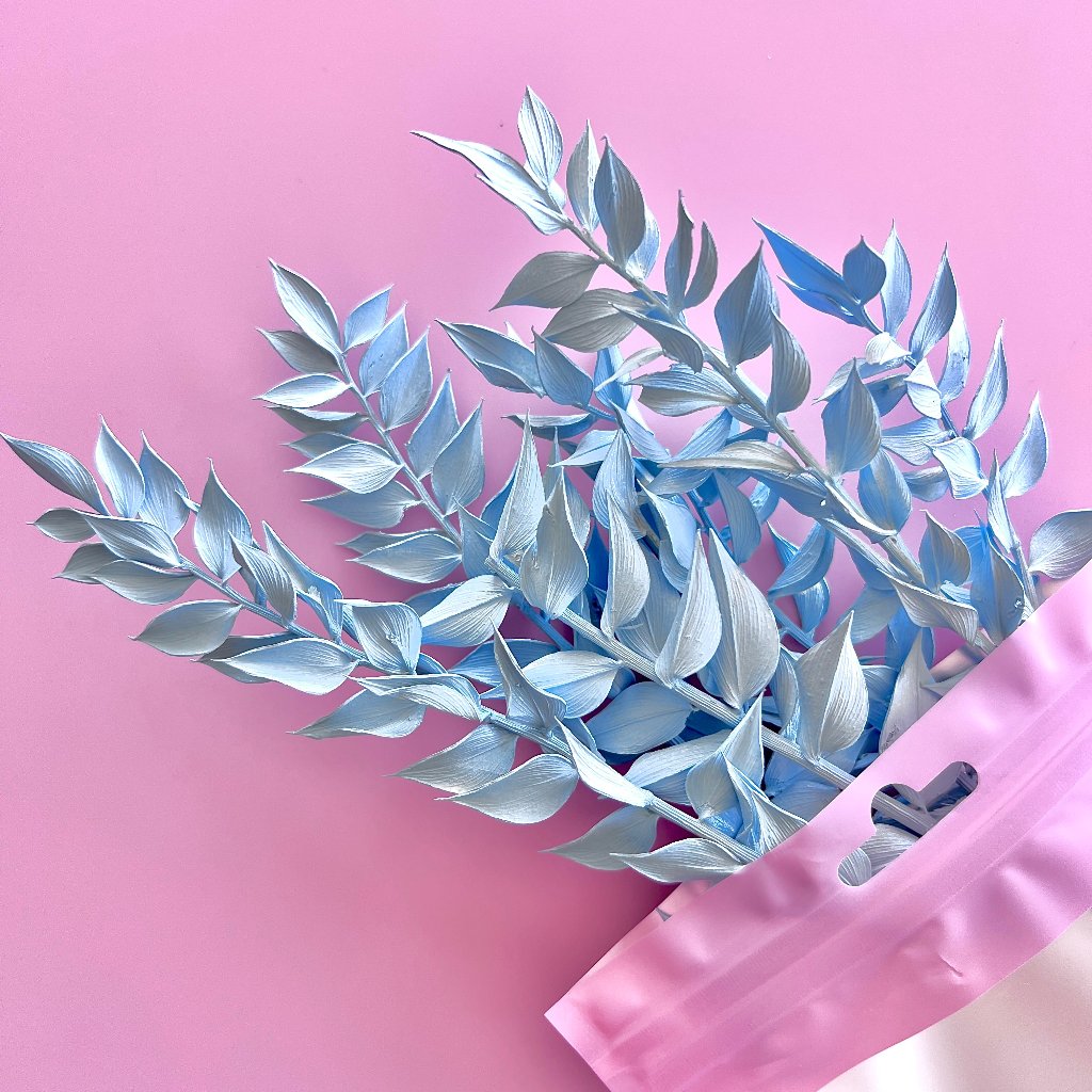 Dried Flowers for Cake Toppers - Ruscus Baby Blue 10pc