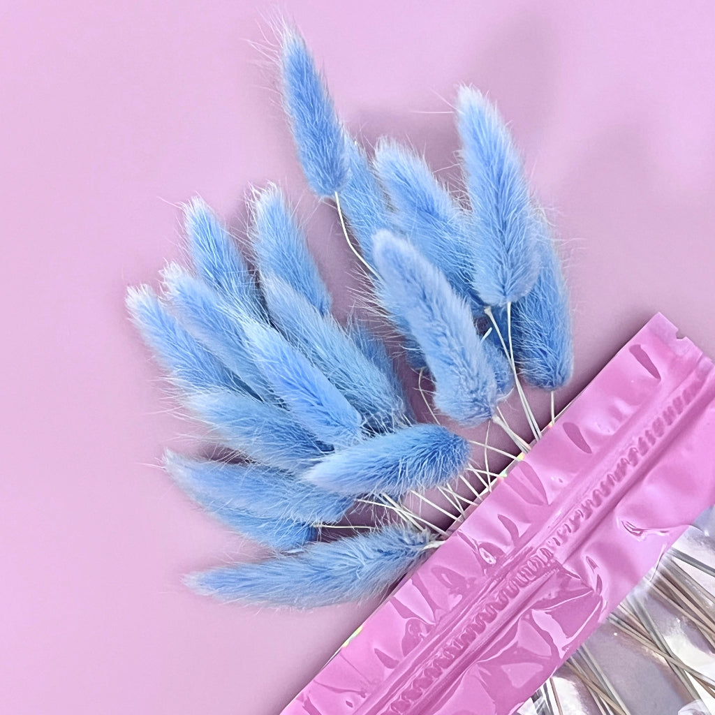 Dried Natural Bunny Tails Cupcake Toppers - Light Blue 20pc