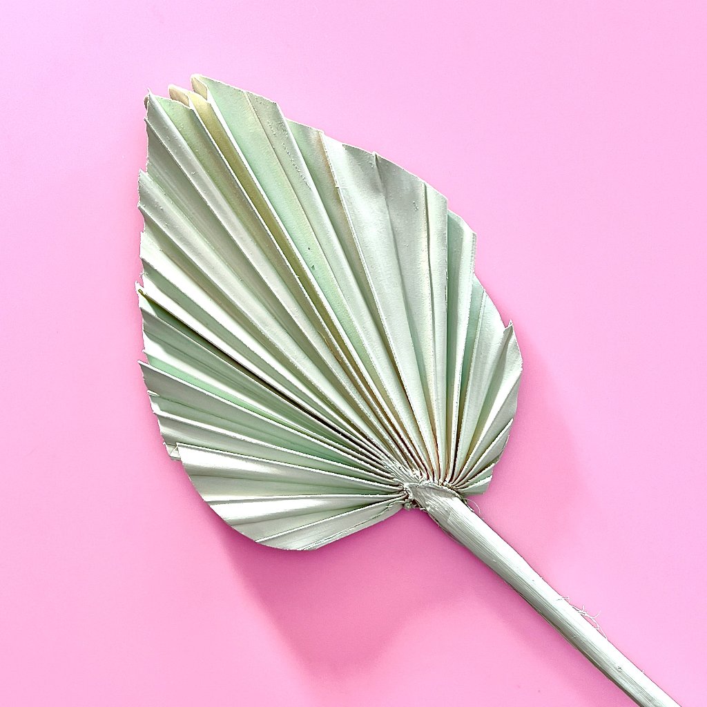 Dried Palm Leaf for Cake Toppers - Mint Green