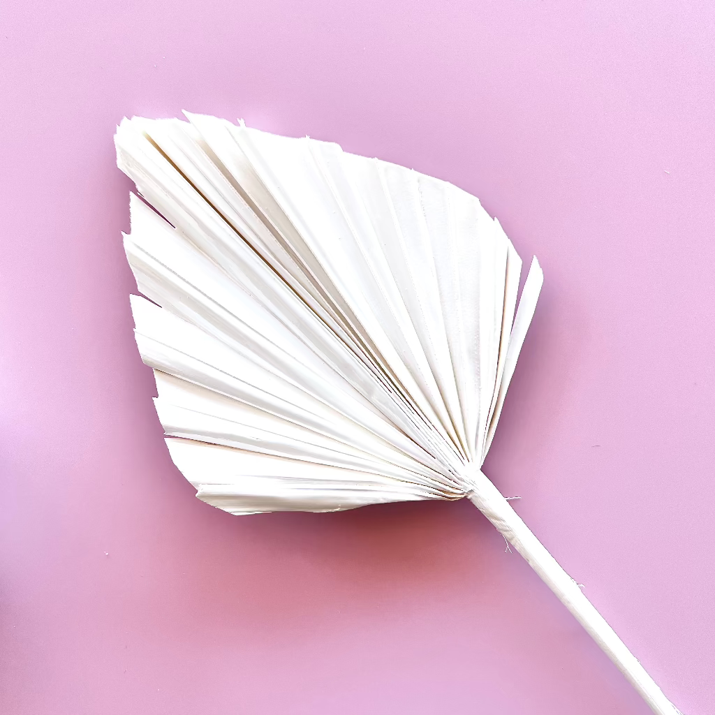 Dried Palm Leaf for Cake Toppers - White