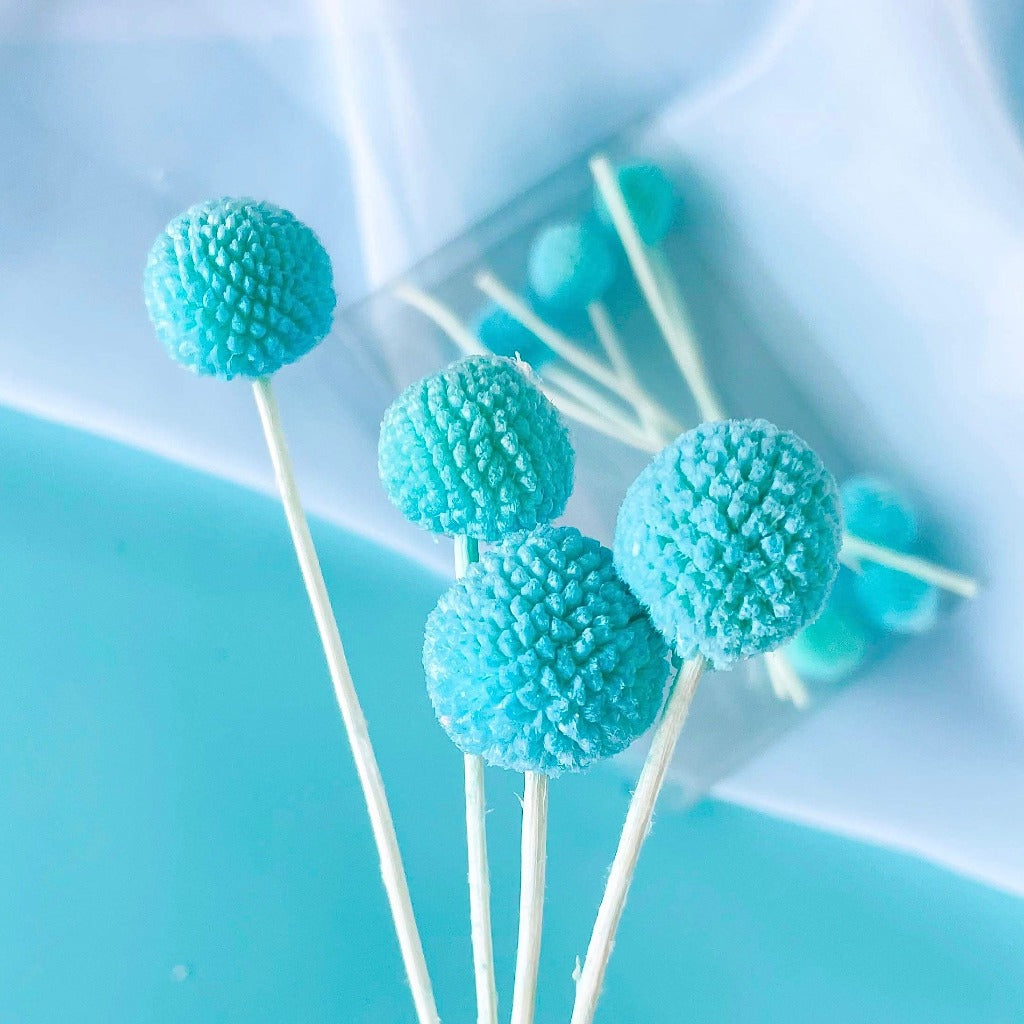 Dried Natural Billy Buttons Cupcake Toppers - Blue