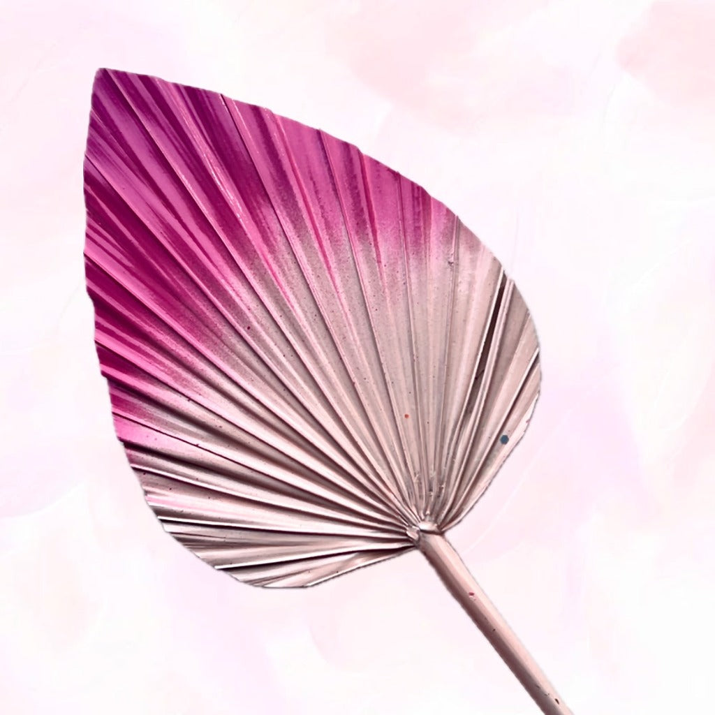 Dried Palm Leaf for Cake Toppers - Ombre Pink