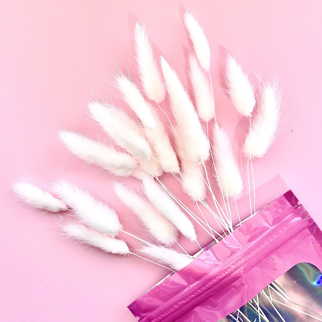 Dried Flowers for Cake Toppers - Bunny Tails White