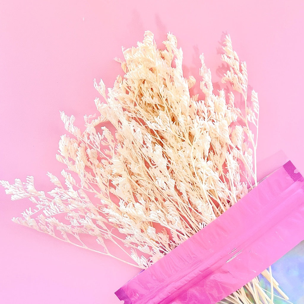 Dried Flowers for Cake Toppers - Limonium White
