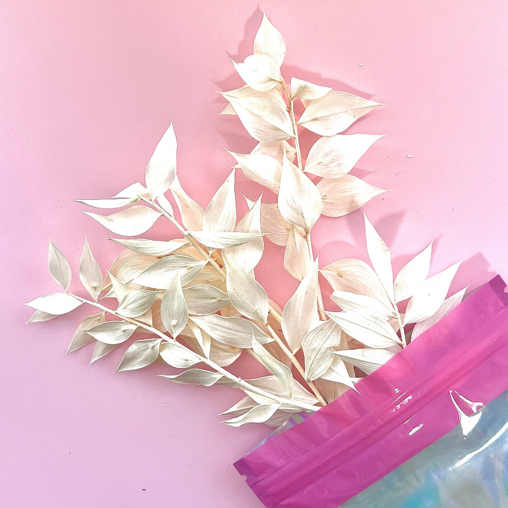 Dried Flowers for Cake Toppers - Ruscus White