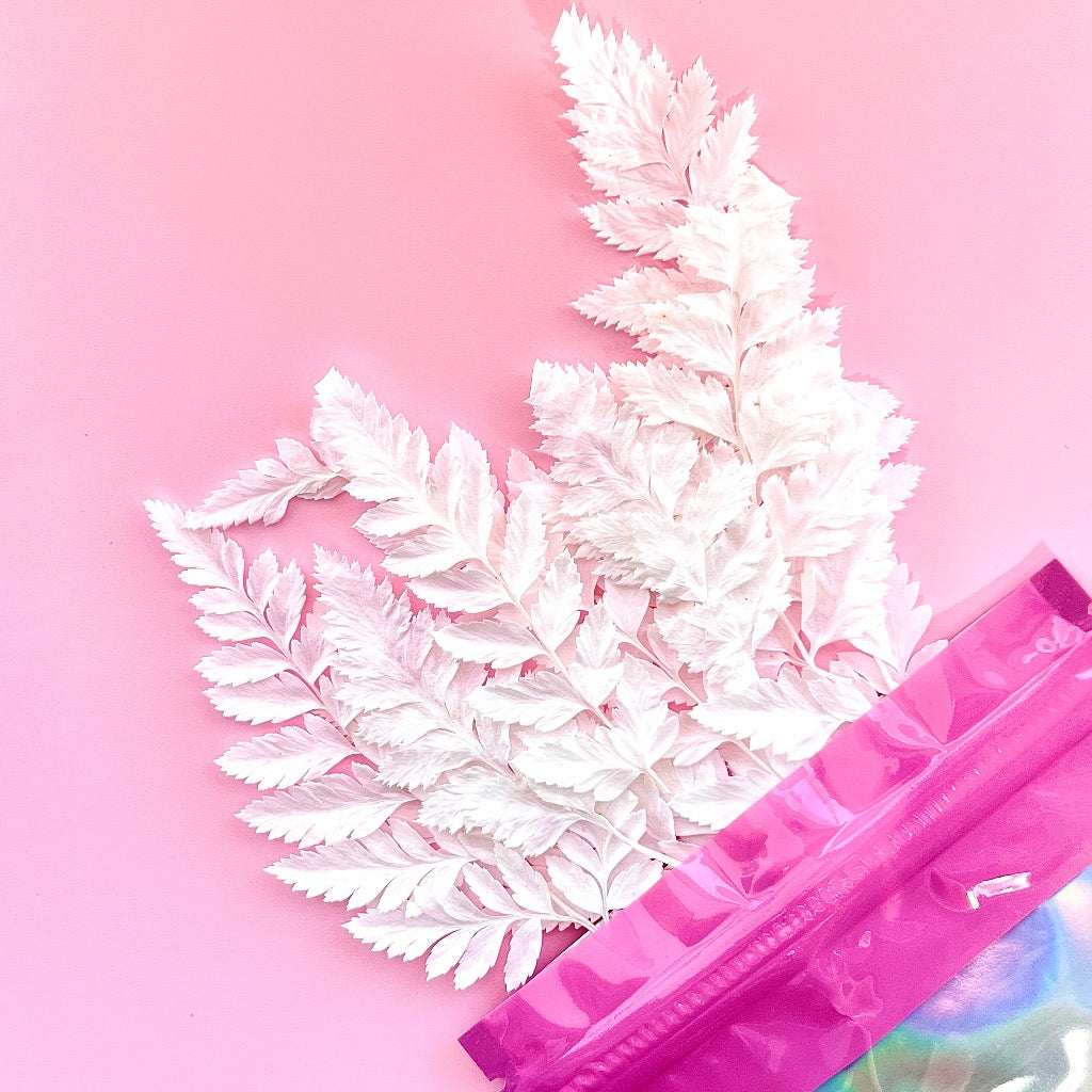 Dried Flowers for Cake Toppers - Arachniodes White