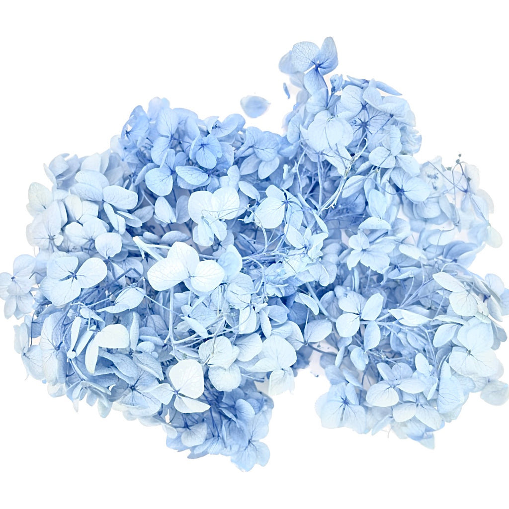 Dried Natural Flowers for Cupcake Toppers - Hydrangeas Light Blue