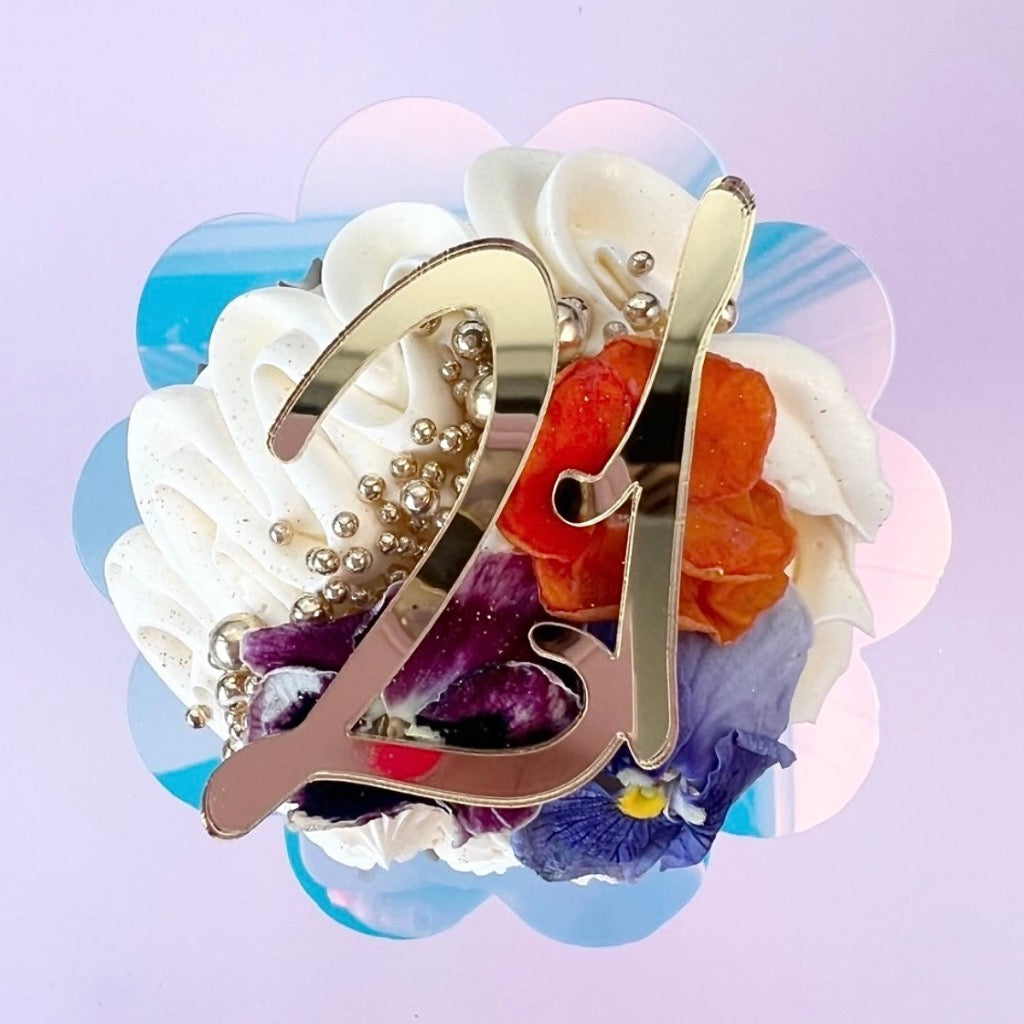 Acrylic Cupcake Topper Charms 21 - 6pc Assorted Colours