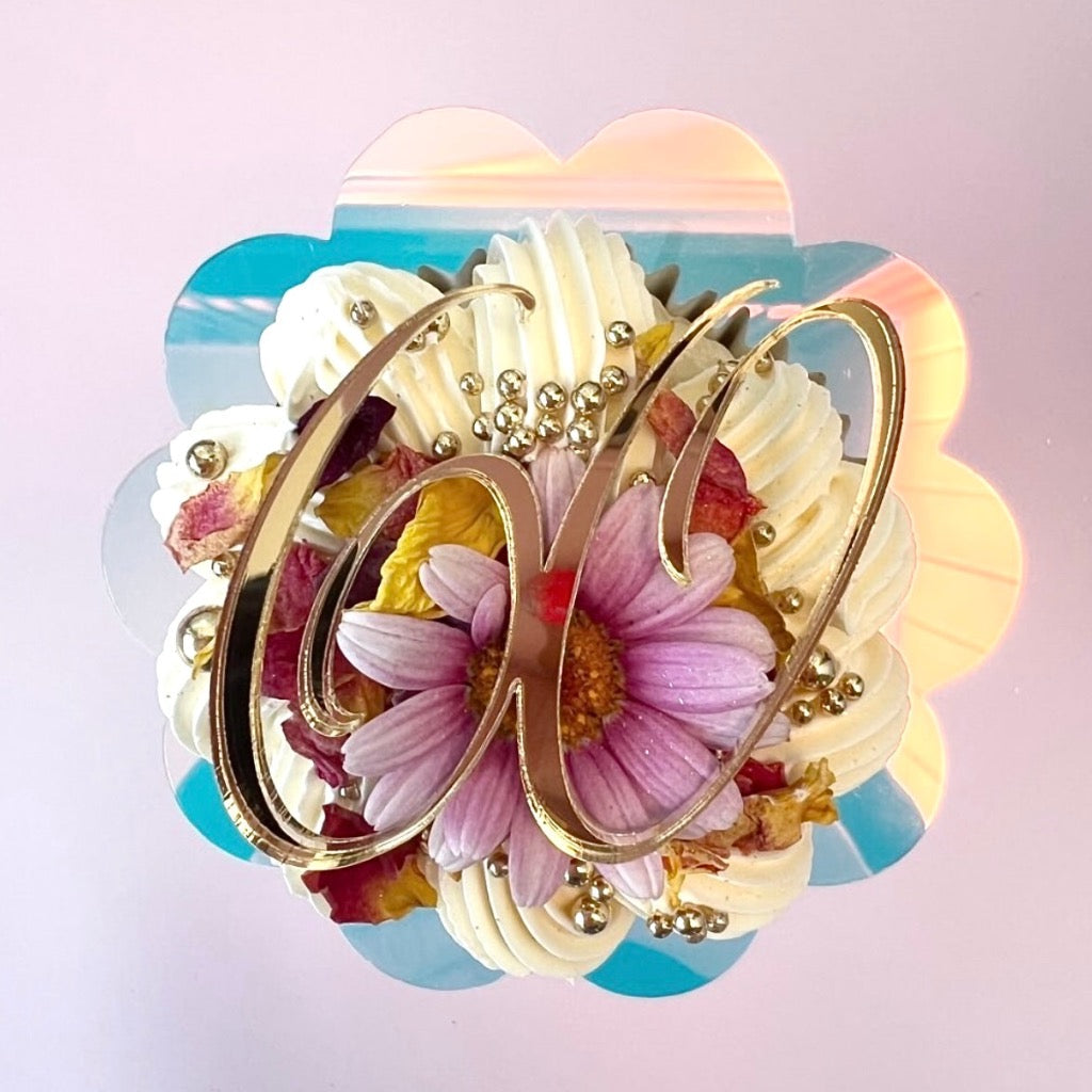 Acrylic Cupcake Topper Charms 60 - 6pc Assorted Colours