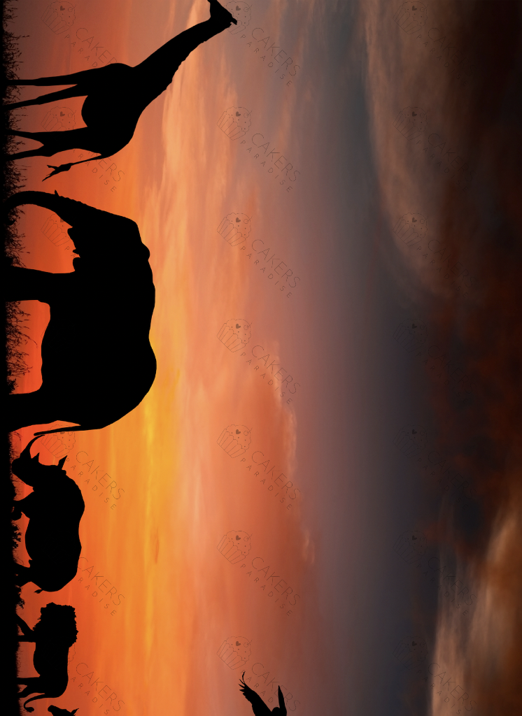 A4 Edible Icing Image - African Sunset
