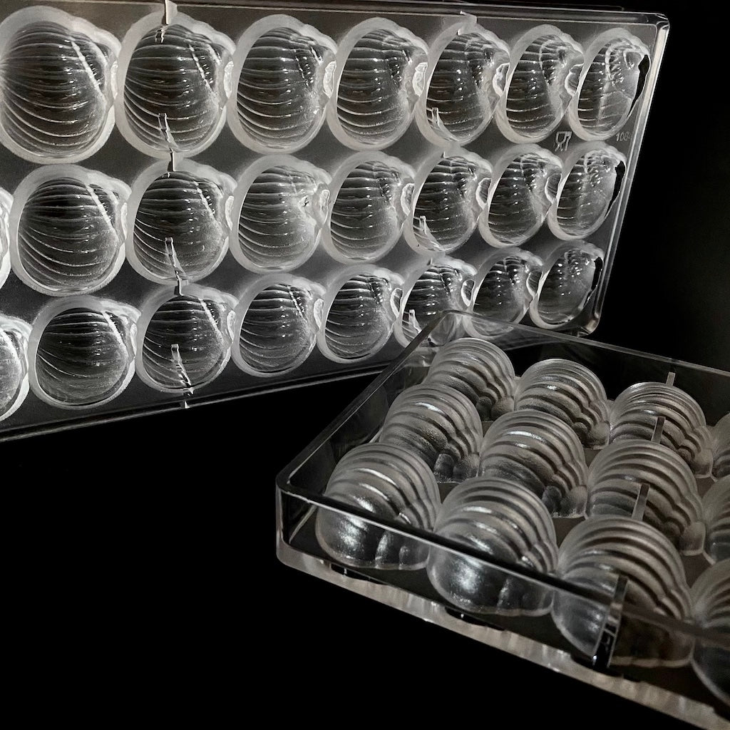 polycarbonate chocolate mould sea shell