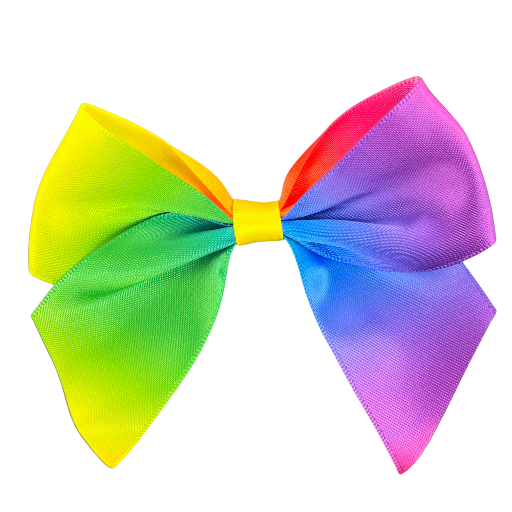 Satin Cakesicle Bows 10cm 6 Pack - Rainbow